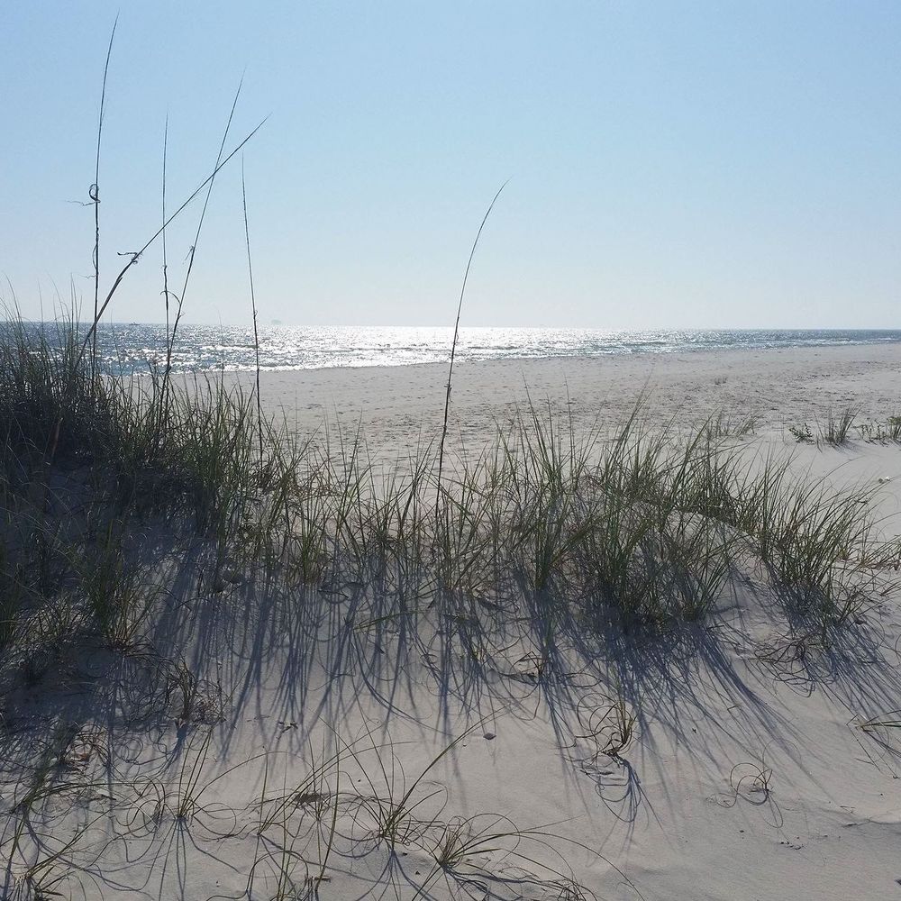 Meet your Posher, Wendy sue